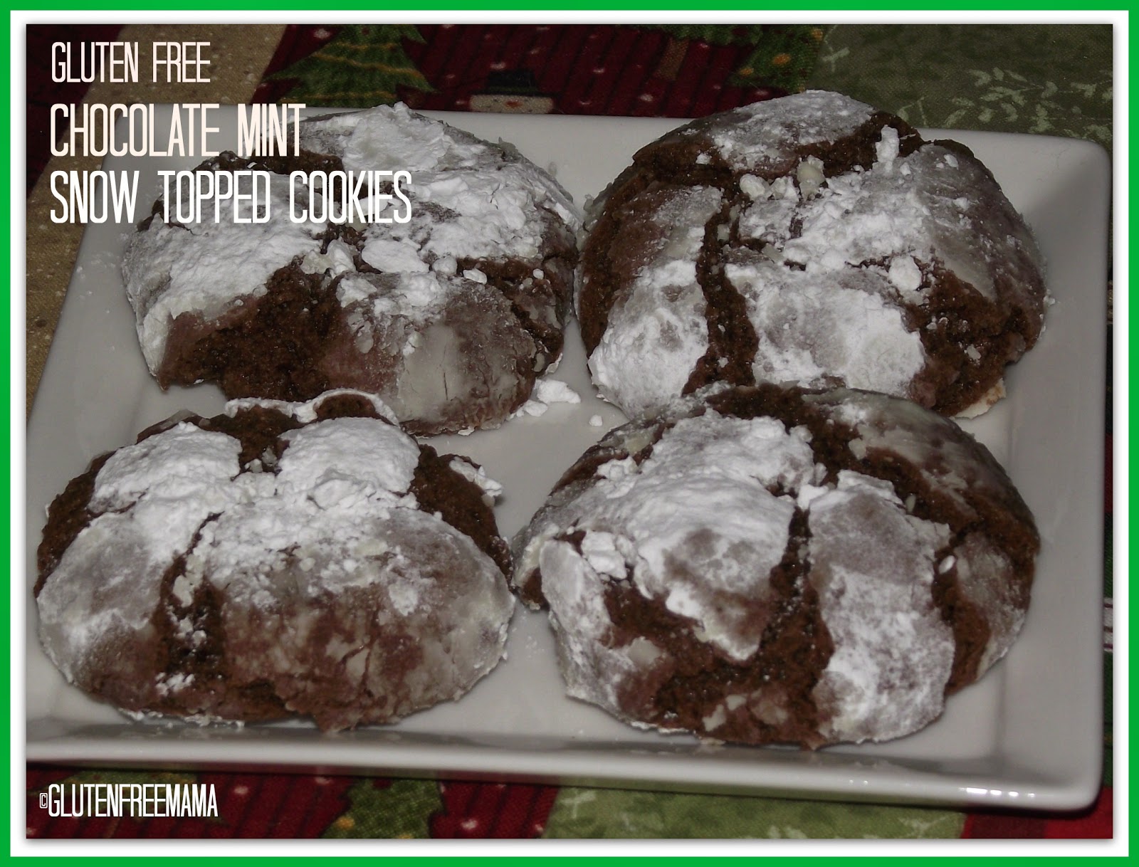 Chocolate Mint Snow Topped Cookies